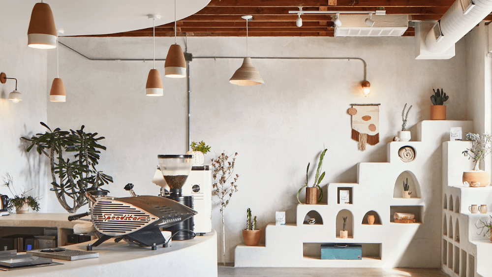 Austin Brew Review: Palomino Coffee – Coffee with Main Character&nbsp;Energy